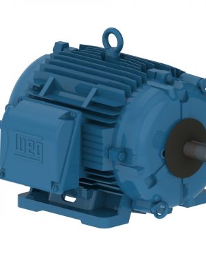 12566920 WEG AC Motor