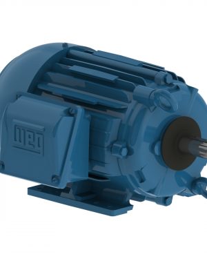 00218ET3ECT145TF1-W2 WEG AC Motor