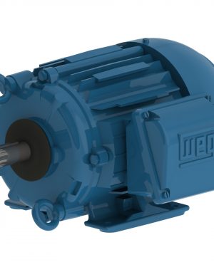 00218ET3ECT145T-W22 WEG AC Motor
