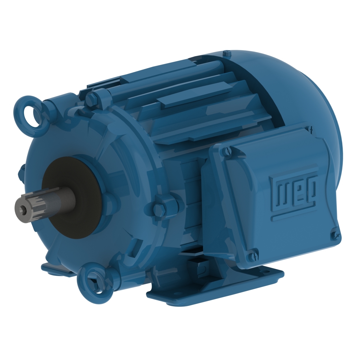 00218ET3ECT145T-W22 WEG AC Motor