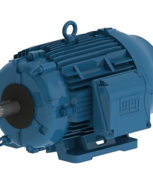 05018ET3PCT326T-W22 WEG AC Motor