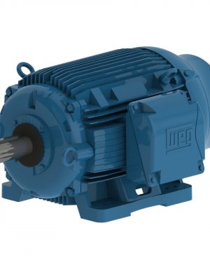 07518ET3PCT365T-W22 WEG AC Motor