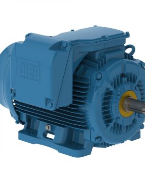 35012ET3GKD586/7-W22 WEG AC Motor