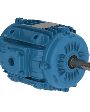 00218ET3EPM143/5Y-W2 WEG AC Motor