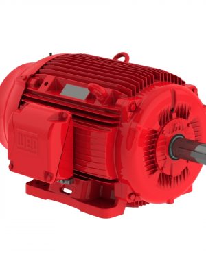06015EP3OFP364TS-W22 WEG AC Motor