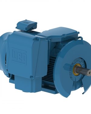 20012ET3XL449-W22MV WEG AC Motor