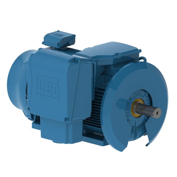 20012ET3XL449-W22MV WEG AC Motor