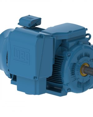 20036ET3XL449-W22MV WEG AC Motor