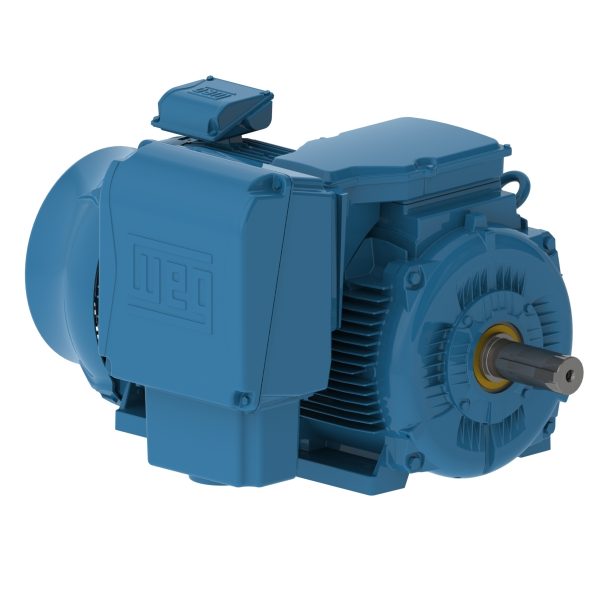 20036ET3XL449-W22MV WEG AC Motor