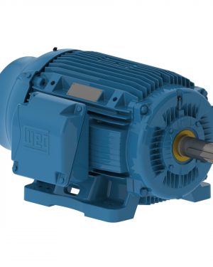 15018ST3HIERB445T-W2 WEG AC Motor
