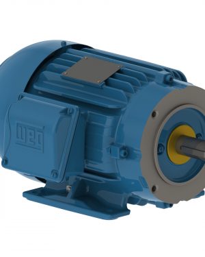 00218ST3QIE145TC-W22 WEG AC Motor