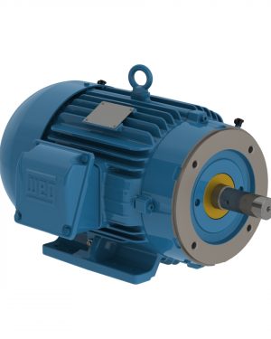 00309ST3QIE215TC-W22 WEG AC Motor