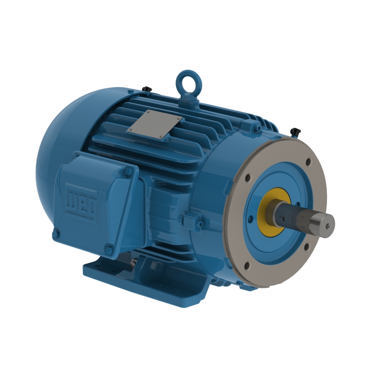 00309ST3QIE215TC-W22 WEG AC Motor