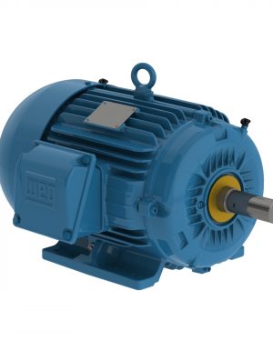 00209ST3QIE213T-W22 WEG AC Motor