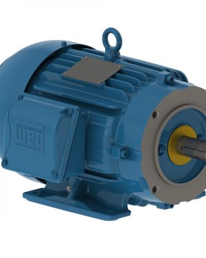 00518ST3QIP184TC-W22 WEG AC Motor