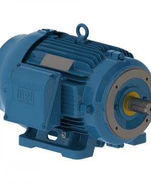 00712ST3QIE254TC-W22 WEG AC Motor