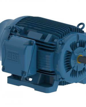 07536ST3QIE365TS-W22 WEG AC Motor