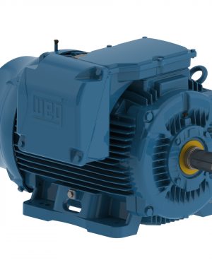 15009ST3QIERB447T-W2 WEG AC Motor