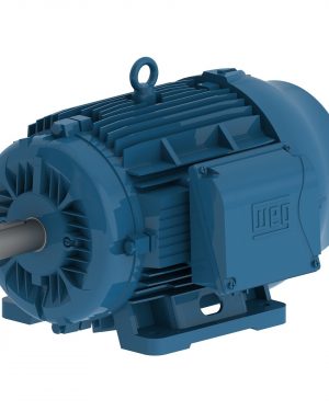 00409ET3Y160M-W22 WEG AC Motor