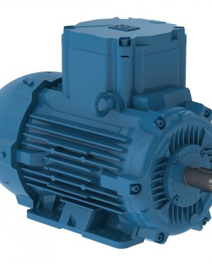 E00418XP3YAX112MF3-W WEG AC Motor