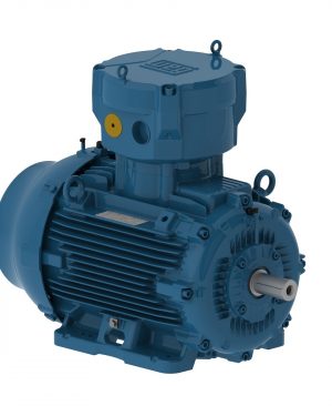 E04536XP3YAX225SMF3W WEG AC Motor