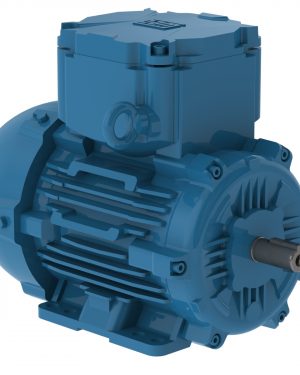 E00318XT3WAX100LF3-W WEG AC Motor