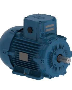 E00412XT3YAX132MF3-W WEG AC Motor