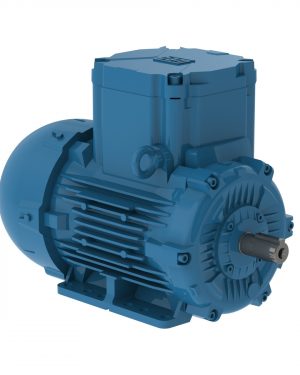 E00236XP3WAX90LF3-W WEG AC Motor