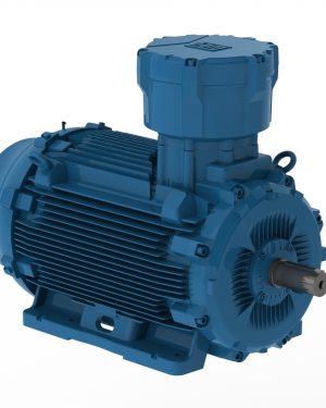 E07536XT3YAX280SMF3W WEG AC Motor