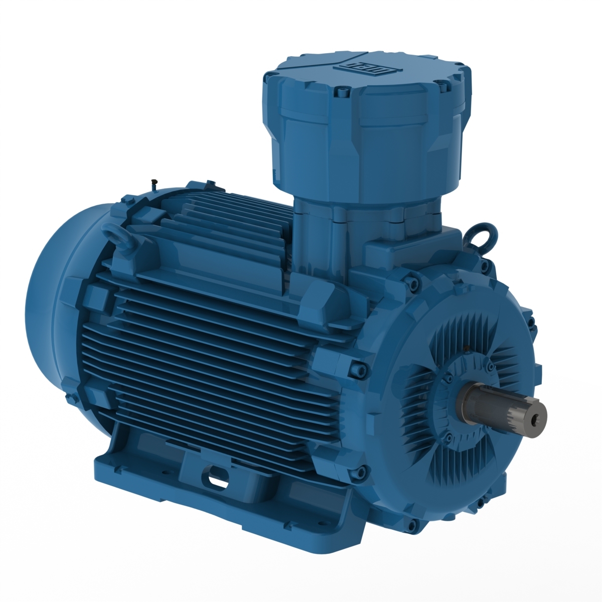 E09036XT3YAX280SMF3W WEG AC Motor