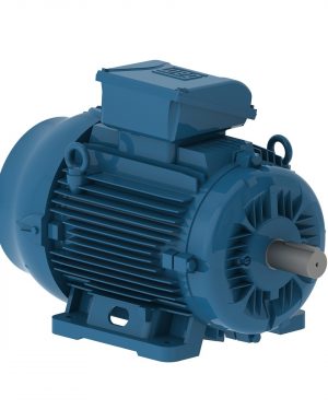 E00712ET3YAX160MF3-W WEG AC Motor