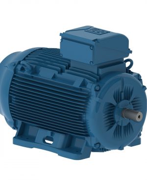 E03012ET3YAX225SMF3W WEG AC Motor