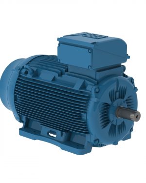 E15012ET3YAX315LF3W2 WEG AC Motor