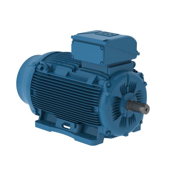 E15012ET3YAX315LF3W2 WEG AC Motor