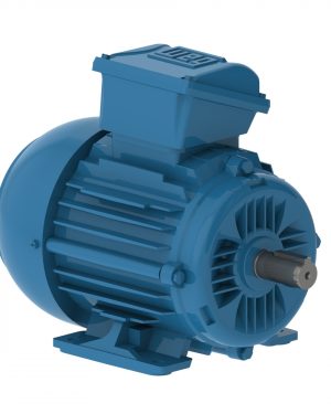 E00158EP3WAX90LF3-W2 WEG AC Motor