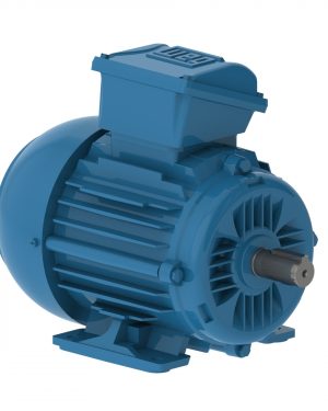 E00236ET3WAX90LF3-W2 WEG AC Motor