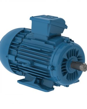 E00318ET3WAXL100LF3W WEG AC Motor