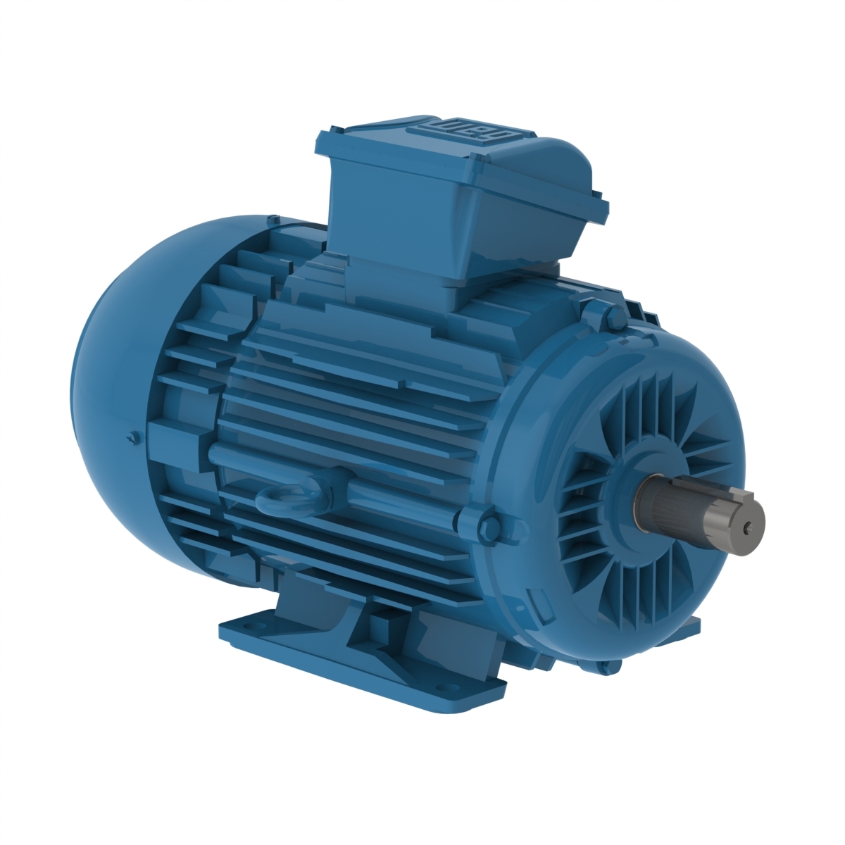 E00318ET3WAXL100LF3W WEG AC Motor