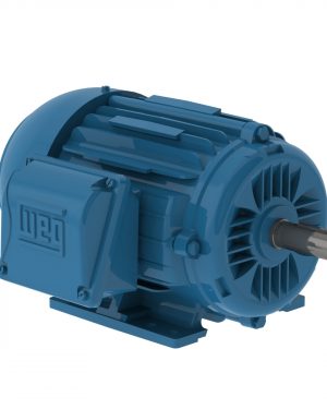 00236ET3E145T-W22G WEG AC Motor