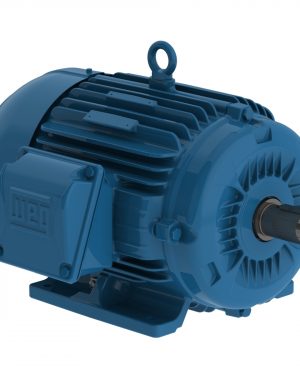 00736ET3H213T-W22G WEG AC Motor