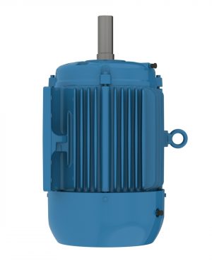 00718ST3QAP213T-W22 WEG AC Motor