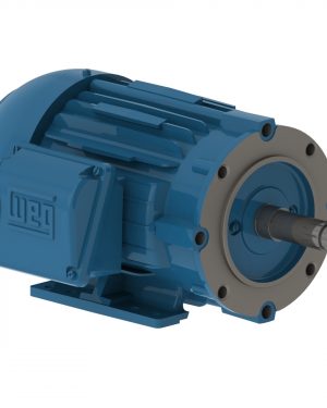 00336ET3E145JM-W22 WEG AC Motor