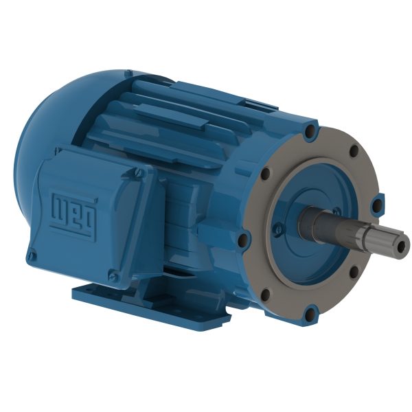 00118EP3E143JM-W22 WEG AC Motor