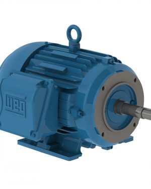 01018ET3P215JM-W22 WEG AC Motor