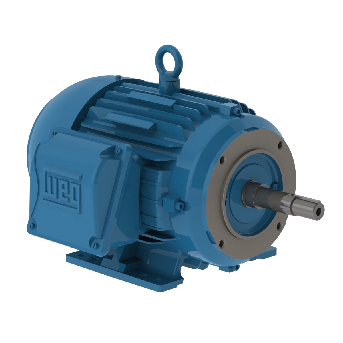 01018ET3P215JM-W22 WEG AC Motor