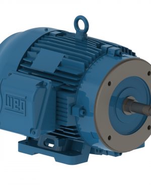 00736ET3E184JM-W22 WEG AC Motor
