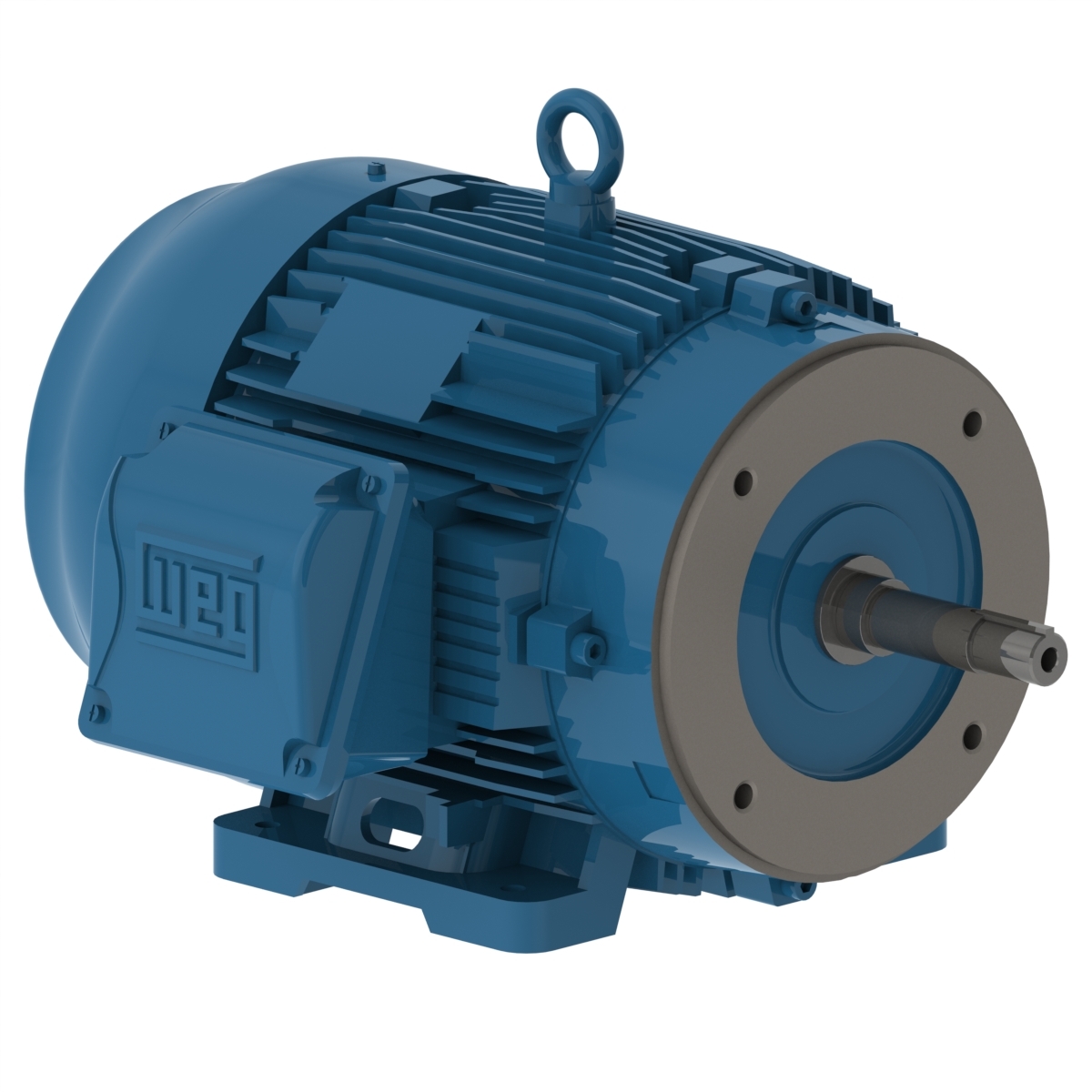 00736ET3V213JM-W22 WEG AC Motor