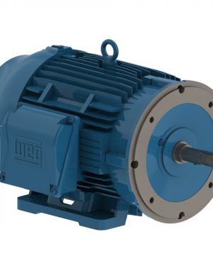 00712ET3E254JM-W22 WEG AC Motor
