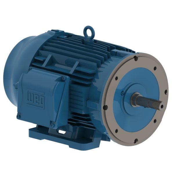 02536EP3E284JM-W22 WEG AC Motor