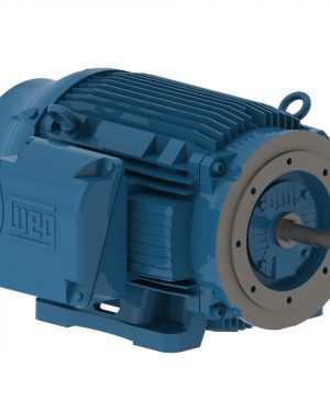 10036ET3E405JM-W22 WEG AC Motor